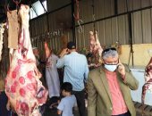 لحوم طازجة بـ85 جنيها للكيلو فى المجمعات الاستهلاكية بمطروح.. صور