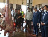 محافظ المنيا يتفقد المجزر العمومى بقرية زاوية سلطان ويوجه بالنظافة الفورية