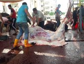 اضبط مخالفة.. شوارع مدينة بورسعيد تغرق بدماء الأضاحى رغم تحذيرات الذبح بالطرق