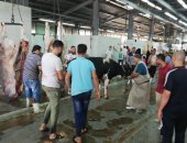 فصل لربك وانحر.. إقبال كبير على مجزر البساتين لذبح الأضاحى فى أول أيام العيد .. الأهالى يصحبون أطفالهم ليشهدوا النحر فى جو احتفالى.. ويؤكد: أحسن من ذبح الشارع وهنا كل التجهيزات بالمجان