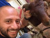 شيتوس ينشر سيلفى مع خروف العيد