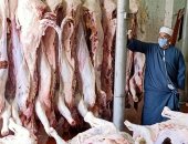 انطلاق عملية الذبح الشرعى لأضاحى الأوقاف بإشراف بيطرى.. صور