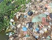 انتشار القمامة ومياه الصرف الصحى بمنطقة أرض الجمعيات فى الإسماعيلية