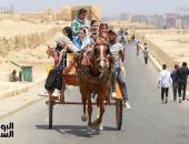 إقبال المصريين على الأهرامات رغم كورونا والطقس الحار 