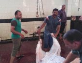 بيطري دمياط: زيادة عدد الأضاحى فى المجازر بنسبة 50% عن العام الماضى