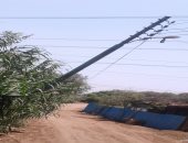 اضبط مخالفة.. عامود إنارة يهدد حياة المواطنين بقرية دمليج فى المنوفية