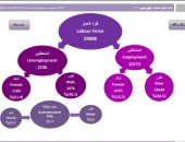 إنفو جراف.. أبرز 8 مؤشرات لقوة العمل خلال الربع الأول من 2020