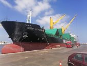 وصول 109 ألف طن و 2034 حاوية و 5958 شاحنة عامة لميناء الإسكندرية (صور)