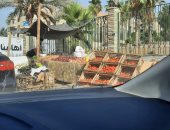 سكان الحى الأول بالعبور يشكون انتشار الباعة الجائلين وتحول الحى لعشوائيات