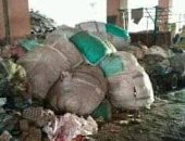 قارئ يشكو انتشار القمامة أسفل نفق الدائرى فى الكونيسة بالعمرانية