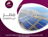 إنفوجراف.. معلومات الوزراء: بركة غليون السمكية توفر 5000 فرصة عمل مباشرة 