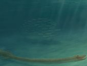 علماء يكشفون لغز مخلوق زاحف عاش قبل 242 مليون عام عنقه أطول من جسمه