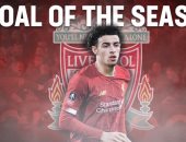 هدف لاعب ليفربول الأفضل في كأس الاتحاد الإنجليزي.. فيديو