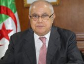 الجزائر تدعو لتوحيد الجهود لمواجهة تحديات الطاقة فى إفريقيا