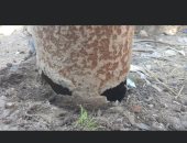 أهالى عزبة منشأة صالح محافظة البحيرة يناشدون تجديد أعمدة الإنارة المتهالكة