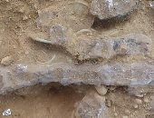 اكتشاف كنوز من العصر البرونزى عمرها 3000 سنة بأسكتلندا.. اعرف حكايتها 