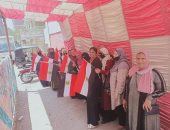 السيدات يدعمن انتخابات مجلس الشيوخ برفع الأعلام أمام لجان بشتيل.. صور