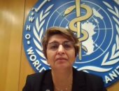 الصحة العالمية: لم نشهد حربا شرسة مثل حرب غزة منذ إنشاء المنظمة