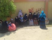 السيدات يتصدرن المشهد فى انتخابات مجلس الشيوخ بالفيوم.. صور