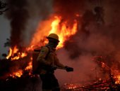 تغير المناخ يهدد رئة الأرض.. الأمازون تسجل 8344 حريقا خلال 6 أشهر فى أعلى مستوى منذ 16 عاما.. البرازيل تتعهد بإنهاء تدمير الأشجار بحلول 2030.. ألمانيا تقدم مساعدات 35 مليون يورو وواشنطن 500 مليون دولار