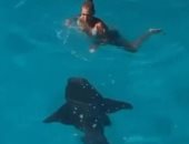 فيديو يحبس الأنفاس لسمكة قرش تقترب من فتاة خلال السباحة فى ميامى