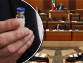 رئيس البرلمان اللبنانى يدعو إلى التشدد فى إجراءات الوقاية من فيروس كورونا