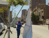 محافظة القاهرة تزيل الدعاية الانتخابية لمجلس الشيوخ من الشوارع.. صور 