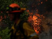 حرائق الغابات تدمر مئات المنازل بمدينة كاليفورنيا الأمريكية