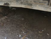 شكوى من ماسورة مياه مكسورة بمساكن عثمان في عزبة النخل