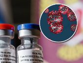 كورونا حول العالم.. شفاء أكثر من 14 مليون مصاب عالميا.. الإصابات فى عمان تتخطى حاجز الـ82 ألفا والوفيات 562.. إيران تسجل 161 حالة وفاة و2245 إصابة جديدة.. والإمارات تسجل 283 إصابة مقابل شفاء 98 حالة