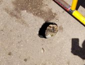 هبوط أرضى مفاجئ بميدان الشون بالمحلة وفرض كردون بالمنطقة.. صور