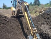 حملات نظافة مكثفة وصيانة أعمدة الإنارة بمدن وقرى محافظة كفر الشيخ.. صور