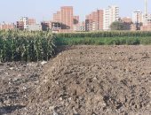 محافظ الشرقية يرصد بناء مخالف على أرض زراعية فى جولة ميدانية لمتابعة النظافة 