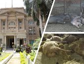 خطوات هامة على طريق زيادة الإنتاج .. "الزراعة" تواجه الجلد العقدى للماشية بحزمة إجراءات وقائية.. الخدمات البيطرية: 6 أسباب لظهور الحالات أبرزها عدم التحصين.. وبرامج مكثفة لمقاومة الناموس.. وحظر البيع دون بطاقة