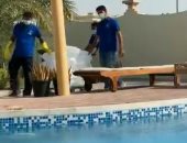 شركة إماراتية توزع ثلج على منازل دبى لتبريد مياه حمامات السباحة.. فيديو