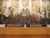 بعثة اندونيسيا في الأمم المتحدة تحتفل بذكرى الاستقلال عبر الفيديو.. صور