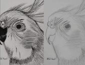 "حبيبة" من البحيرة تشارك صحافة المواطن رسوماتها لإبراز موهبتها الفنية