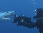 عالم طبيعة يسبح مع أسماك القرش لتوثيق حياتها.. فهل تجرؤ على خوض المغامرة؟ 