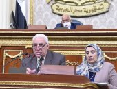 صور.. البرلمان يوافق على تقسيم دوائر الدقهلية لـ 10 دوائر فردية بـ21 مقعدا