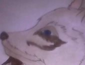 "رنا" من الإسكندرية تشارك برسومات كرتونية باستخدام القلم الرصاص