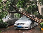 الإعصار هيغوس يضرب الصين ويتسبب فى هطول الأمطار الغزيرة.. صور