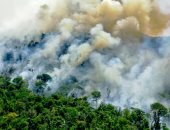 البرازيل تسجل أسوأ موسم حرائق بـ 3262 حريقا منذ بداية عام 2024