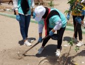 البيئة تطلق حملة تشجير منطقة "كيما" بأسوان ضمن مبادرة "اتحضر للأخضر"