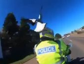 طائر يضرب ضابط شرطة على رأسه خلال جولة مرورية فى أستراليا.. فيديو وصور