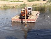 تطهير مجرى نهر النيل ببنى سويف من ورد النيل استجابة لـ"اليوم السابع".. فيديو وصور  