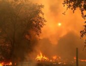 كاليفورنيا تواجه 560 حريقا.. وحاكم الولاية: نتعرض لأسوأ موسم حرائق