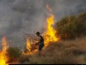 عداء يخمد حريقا بقدمه أثناء تدريباته بغابات أريزونا الأمريكية.. فيديو وصور