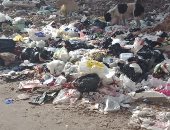 شكوى من انتشار القمامة والأوبئة بشارع الجوازت بمركز فاقوس شرقية
