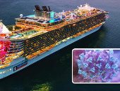 "البواخر السياحية تعود لمجاريها".. انتعاش للرحلات النهرية فى أوروبا والإشغال 80%.. إيطاليا تختبر الأوضاع بسفينة تجوب "المتوسط".. والسعودية تبدأ رحلات الكروز فى "الأحمر" لأول مرة.. ودبى تستعد لموسم الخريف