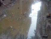 قارئ يشكو من انتشار مياه مجهولة المصدر  بشارع حشاد بقرية غمرين بالمنوفية